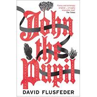 John the Pupil -David Flusfeder Novel Book