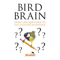 Bird Brain: Over 2,400 Questions to Test Your Bird Knowledge - Author TBC