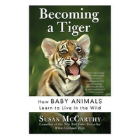 Becoming a Tiger: How Baby Animals Learn to Live in the Wild Book