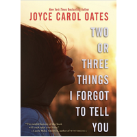 Two or Three Things I Forgot to Tell You - Novel Book