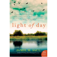 Light of Day: A Novel -Jamie M. Saul Novel Book