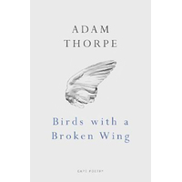 Birds With A Broken Wing -Adam Thorpe Book