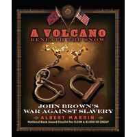 A Volcano Beneath the Snow: John Brown's War Against Slavery Book