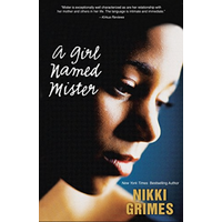 A Girl Named Mister -Nikki Grimes Novel Book