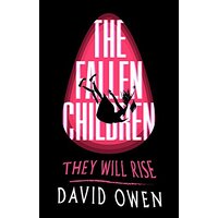 The Fallen Children -David Owen Children's Book