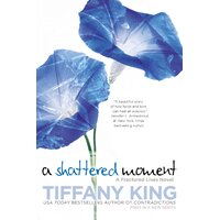 A Shattered Moment: Fractured Lives Novel -Tiffany King Paperback Novel Book
