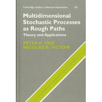 Multidimensional Stochastic Processes as Rough Paths Hardcover Book