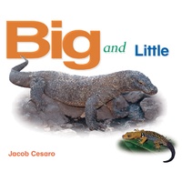 Rigby Literacy Emergent Level 4: Big and Little -Jacob Cesaro Book