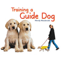 Rigby Literacy Fluent Level 2: Training A Guide Dog - Paperback Children's Book