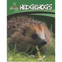 British Wildlife: Hedgehogs Sally Morgan Paperback Book