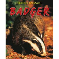British Animals: Badger Michael Leach Paperback Book