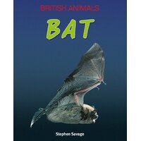 British Animals: Bat Stephen Savage Paperback Book