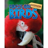 Classification: Focus on: Birds Stephen Savage Paperback Book