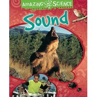 Amazing Science: Sound Sally Hewitt Paperback Book