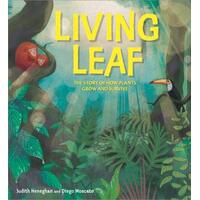 Plant Life: Living Leaf Paperback Book