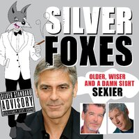 Silver Foxes: Older, Wiser and a Damn Sight Sexier Dawn Porter Hardcover Book