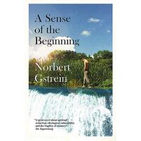 A Sense of the Beginning -Norbert Gstrein,Julian Evans Politics Novel Book