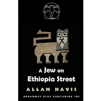 A Jew On Ethiopia Street -Havis, Allan Fiction Book