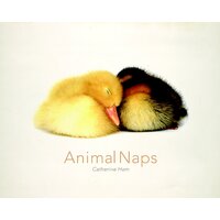 Animal Naps Catherine Ham Hardcover Book