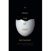 A Small Cup of Light: A Drink in the Desert -Ben T. Palpant Book