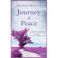 Journey to Peace Paperback Book