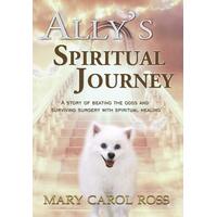Ally's Spiritual Journey Paperback Book