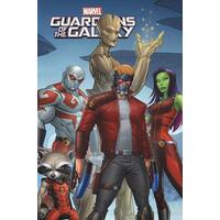Marvel Universe Guardians of the Galaxy Vol. 6 - Fiction Book