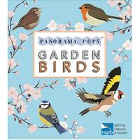 Garden Birds: Panorama Pops Lorna Syson Paperback Book