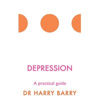 Depression: A practical guide (The Flag Series) Harry Barry Paperback Book