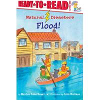 Flood! (Natural Disasters Aladdin): Aladdin) Hardcover Book
