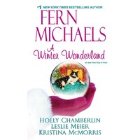 A Winter Wonderland, A Paperback Novel Book