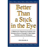 . a Stick in the Eye Paperback Book