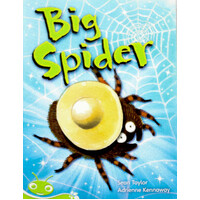 Big Spider -Sean Taylor Paperback Children's Book