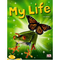 Bug Club Level 8 - Yellow: My Life -Lisa James Paperback Children's Book