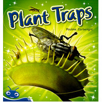 Bug Club Level 10 - Blue: Plant Traps -Pauline Cartwright Paperback Children's Book
