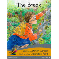 Sails Additional Fluency - Gold Bridging Silver: The Break Children's Book