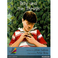 Sails Additional Fluency - Silver: Billy and the Thrush - Paperback Children's Book
