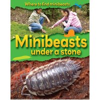 Where to Find Minibeasts: Minibeasts Under a Stone Paperback Book