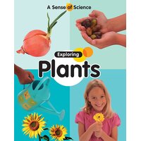 A Sense of Science: Exploring Plants Claire Llewellyn Paperback Book