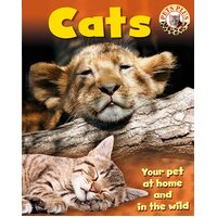 Pets Plus: Cats (Pets Plus) Honor Head Paperback Book