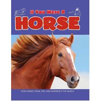 If You Were a Horse Clare Hibbert Hardcover Book