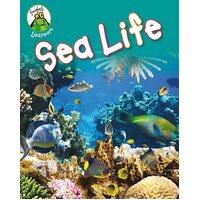 Froglets: Learners: Sea Life Annabelle Lynch Hardcover Book
