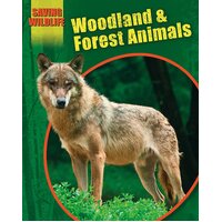 Saving Wildlife: Woodland and Forest Animals Sonya Newland Paperback Book