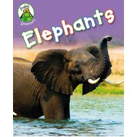 Froglets: Learners: Elephants Annabelle Lynch Paperback Book