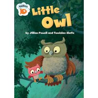 Tiddlers: Little Owl Jillian Powell Paperback Book