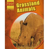Saving Wildlife: Grassland Animals Sonya Newland Paperback Book