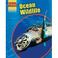 Saving Wildlife: Ocean Wildlife Sonya Newland Paperback Book