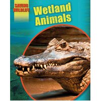 Saving Wildlife: Wetland Animals Sonya Newland Paperback Book