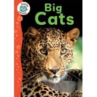 Tadpoles Learners: Big Cats -Annabelle Lynch Children's Book