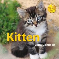 My New Pet: Kitten Jinny Johnson Paperback Book